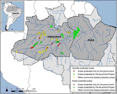 Community-Based Conservation and Management of Chelonians in the Amazon